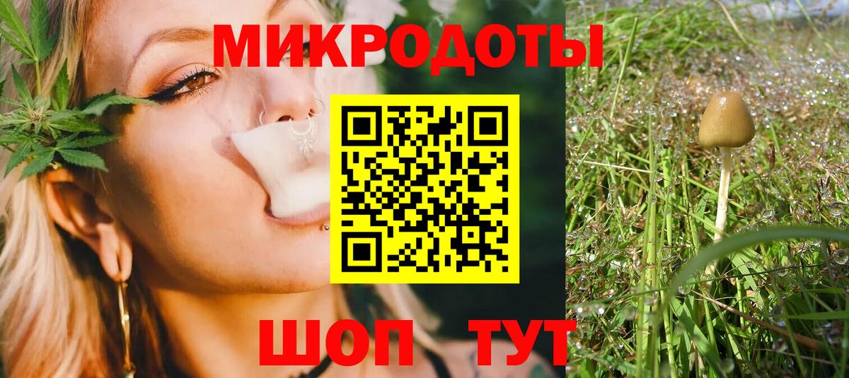 Галлюциногенные грибы Psilocybe Малоярославец
